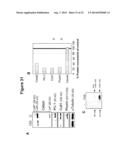 MICRORNA INHIBITION FOR THE TREATMENT OF INFLAMMATION AND     MYELOPROLIFERATIVE DISORDERS diagram and image