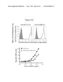 METHODS OF MODULATING HVEM, BTLA AND CD160 CIS COMPLEX RESPONSE OR     SIGNALING ACTIVITY WITH SOLUBLE LIGHT POLYPEPTIDE SEQUENCES diagram and image