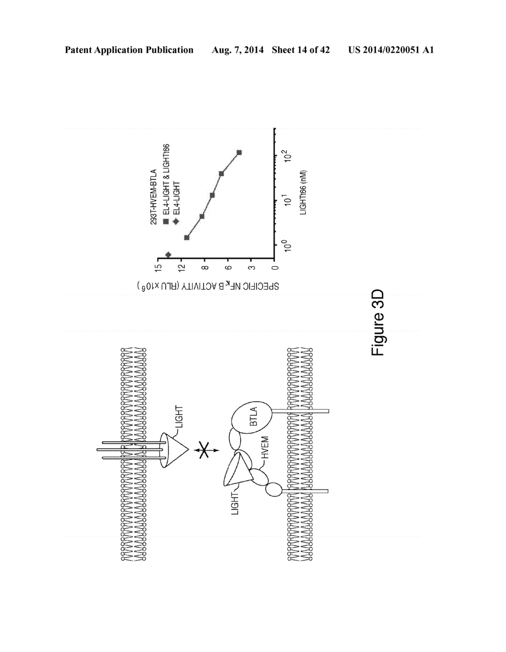 METHODS OF MODULATING HVEM, BTLA AND CD160 CIS COMPLEX RESPONSE OR     SIGNALING ACTIVITY WITH SOLUBLE LIGHT POLYPEPTIDE SEQUENCES - diagram, schematic, and image 15