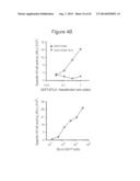 METHODS OF MODULATING HVEM, BTLA AND CD160 CIS COMPLEX RESPONSE OR     SIGNALING ACTIVITY WITH SOLUBLE LIGHT POLYPEPTIDE SEQUENCES diagram and image