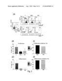 MICROVESICLES ISOLATED FROM MESENCHYMAL STEM CELLS FOR USE AS     IMMUNOSUPPRESSIVE AGENTS diagram and image