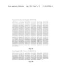 GROUP A STREPTOCOCCUS MULTIVALENT VACCINE diagram and image