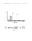 LYMPHATIC ZIP CODES IN TUMORS AND PRE-MALIGNANT LESIONS diagram and image