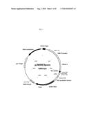 TRUNCATED HIV ENVELOPE PROTEINS (ENV), METHODS AND COMPOSITIONS RELATED     THERETO diagram and image