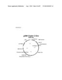 TRUNCATED HIV ENVELOPE PROTEINS (ENV), METHODS AND COMPOSITIONS RELATED     THERETO diagram and image