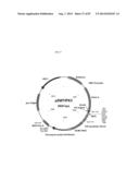 TRUNCATED HIV ENVELOPE PROTEINS (ENV), METHODS AND COMPOSITIONS RELATED     THERETO diagram and image