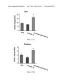 Compositions and Methods for Detecting, Treating, or Preventing Reductive     Stress diagram and image