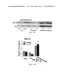 Compositions and Methods for Detecting, Treating, or Preventing Reductive     Stress diagram and image