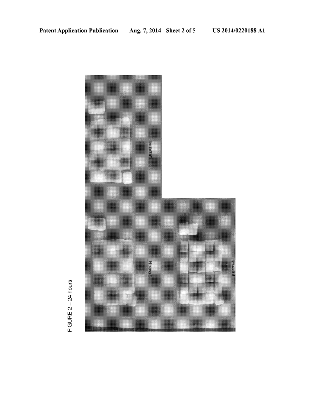 CHEWY CONFECTIONERY PRODUCT - diagram, schematic, and image 03