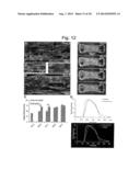 IN VITRO MICROPHYSIOLOGICAL SYSTEM FOR HIGH THROUGHPUT 3D TISSUE     ORGANIZATION AND BIOLOGICAL FUNCTION diagram and image