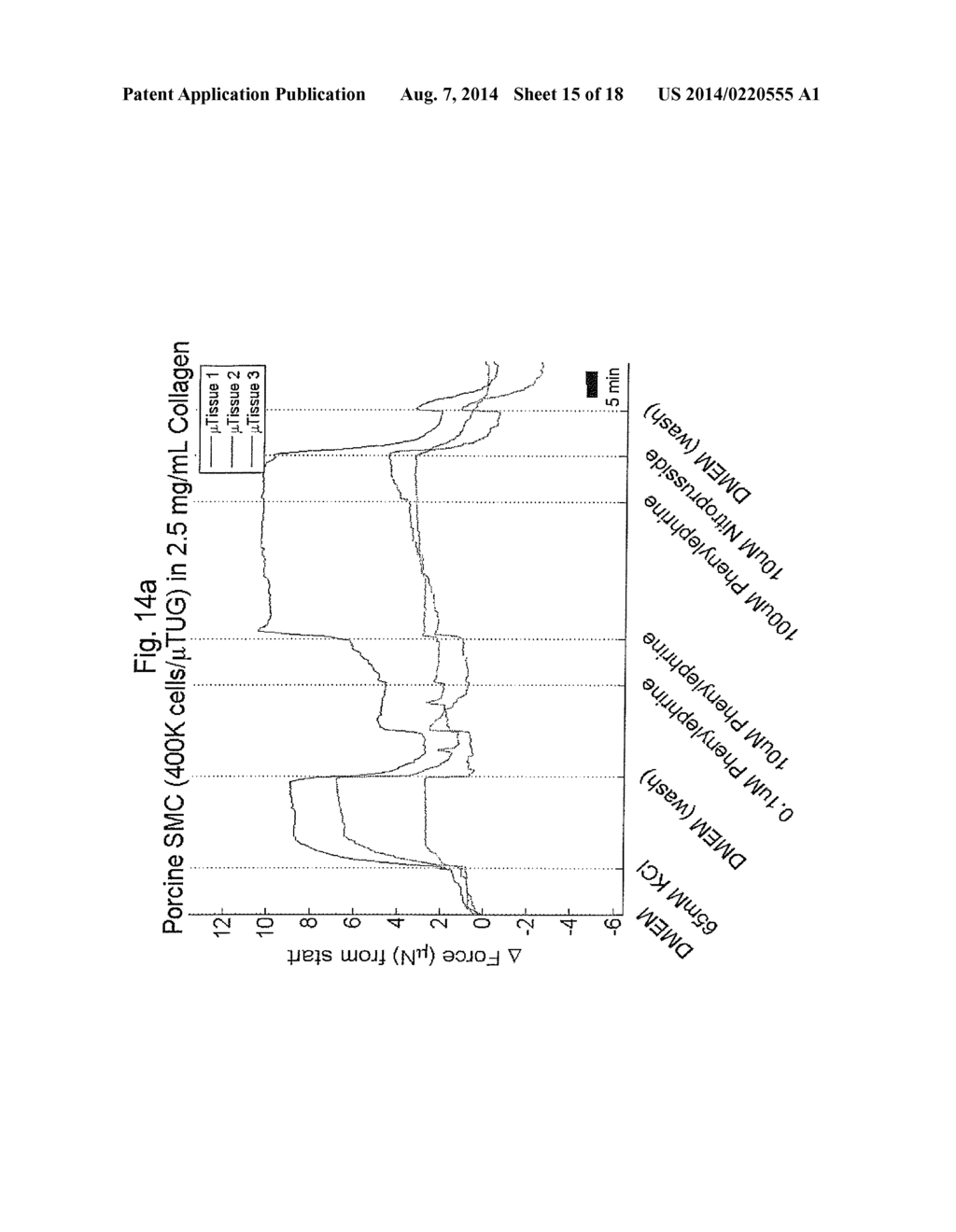 IN VITRO MICROPHYSIOLOGICAL SYSTEM FOR HIGH THROUGHPUT 3D TISSUE     ORGANIZATION AND BIOLOGICAL FUNCTION - diagram, schematic, and image 16