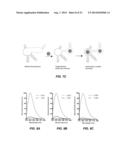 METHODS FOR RNA DETECTION AND QUANTIFICATION diagram and image