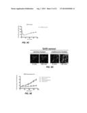 METHODS FOR RNA DETECTION AND QUANTIFICATION diagram and image