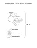 METHODS FOR RNA DETECTION AND QUANTIFICATION diagram and image