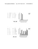 METHODS FOR RNA DETECTION AND QUANTIFICATION diagram and image