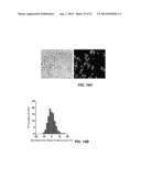 METHODS FOR RNA DETECTION AND QUANTIFICATION diagram and image