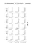 METHODS FOR RNA DETECTION AND QUANTIFICATION diagram and image