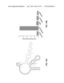 METHODS FOR RNA DETECTION AND QUANTIFICATION diagram and image