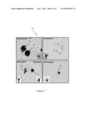 METHOD AND SYSTEM TO DETECT, DIAGNOSE, AND MONITOR THE PROGRESSION OF     ALZHEIMER S DISEASE diagram and image