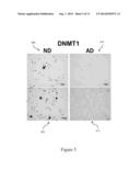 METHOD AND SYSTEM TO DETECT, DIAGNOSE, AND MONITOR THE PROGRESSION OF     ALZHEIMER S DISEASE diagram and image