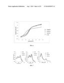 EMBODIMENTS OF A PROBE AND METHOD FOR TARGETING NUCLEIC ACIDS diagram and image