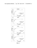 EMBODIMENTS OF A PROBE AND METHOD FOR TARGETING NUCLEIC ACIDS diagram and image