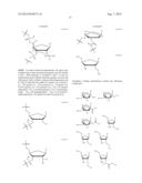 EMBODIMENTS OF A PROBE AND METHOD FOR TARGETING NUCLEIC ACIDS diagram and image