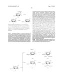 EMBODIMENTS OF A PROBE AND METHOD FOR TARGETING NUCLEIC ACIDS diagram and image