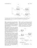 EMBODIMENTS OF A PROBE AND METHOD FOR TARGETING NUCLEIC ACIDS diagram and image