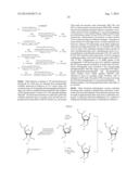 EMBODIMENTS OF A PROBE AND METHOD FOR TARGETING NUCLEIC ACIDS diagram and image