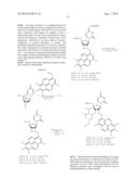 EMBODIMENTS OF A PROBE AND METHOD FOR TARGETING NUCLEIC ACIDS diagram and image