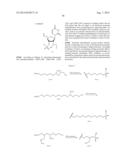 EMBODIMENTS OF A PROBE AND METHOD FOR TARGETING NUCLEIC ACIDS diagram and image