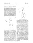 EMBODIMENTS OF A PROBE AND METHOD FOR TARGETING NUCLEIC ACIDS diagram and image