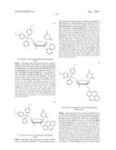 EMBODIMENTS OF A PROBE AND METHOD FOR TARGETING NUCLEIC ACIDS diagram and image