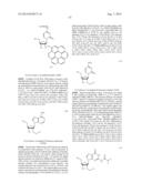 EMBODIMENTS OF A PROBE AND METHOD FOR TARGETING NUCLEIC ACIDS diagram and image