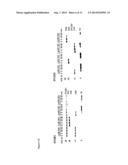 UBIQUITIN CHAIN ANALYSIS diagram and image