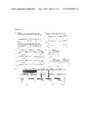 UBIQUITIN CHAIN ANALYSIS diagram and image