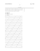 METHOD FOR SCREENING AN AGENT PREVENTING OR TREATING CANCER USING     GLYCYL-TRNA SYNTHETASE AND CADHERIN diagram and image