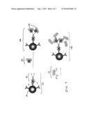 SIGNAL AMPLIFICATION FOR IMMUNOASSAYS BY USE OF AVIDIN-BIOTIN LINKAGES diagram and image