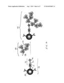 SIGNAL AMPLIFICATION FOR IMMUNOASSAYS BY USE OF AVIDIN-BIOTIN LINKAGES diagram and image