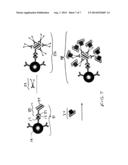 SIGNAL AMPLIFICATION FOR IMMUNOASSAYS BY USE OF AVIDIN-BIOTIN LINKAGES diagram and image