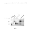 OPTICAL CONTROL OF PROTEIN ACTIVITY AND LOCALIZATION BY FUSION TO     PHOTOCHROMIC PROTEIN DOMAINS diagram and image