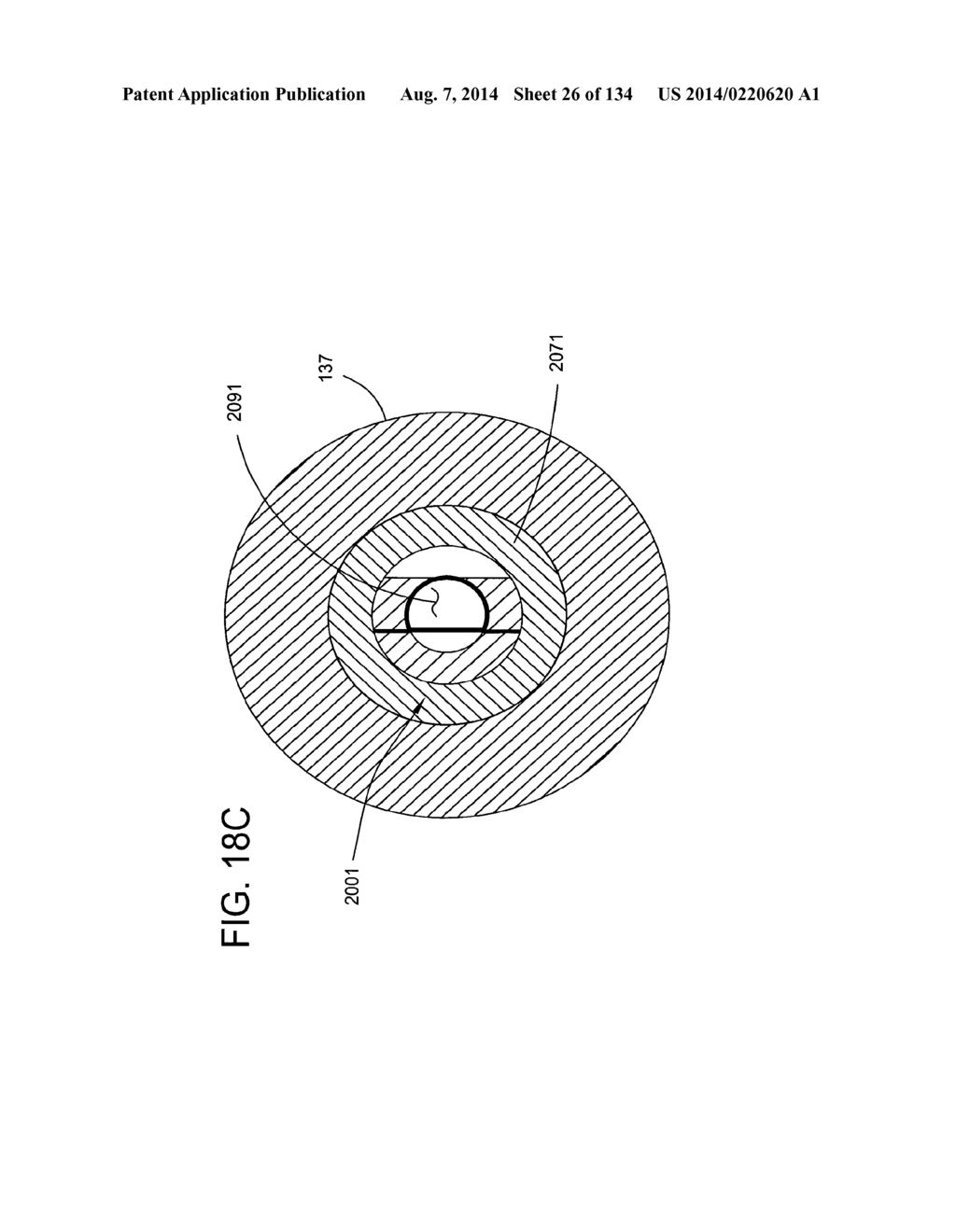 MULTI-CHANNEL SYSTEM AND METHODS FOR SORTING PARTICLES - diagram, schematic, and image 27