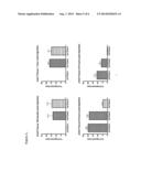 Antibodies binding human collagen II diagram and image