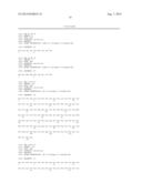 Antibodies binding human collagen II diagram and image