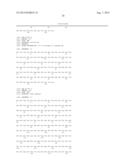 Antibodies binding human collagen II diagram and image