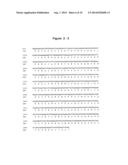 Recombinant Butyrylcholinesterases and Truncates Thereof diagram and image