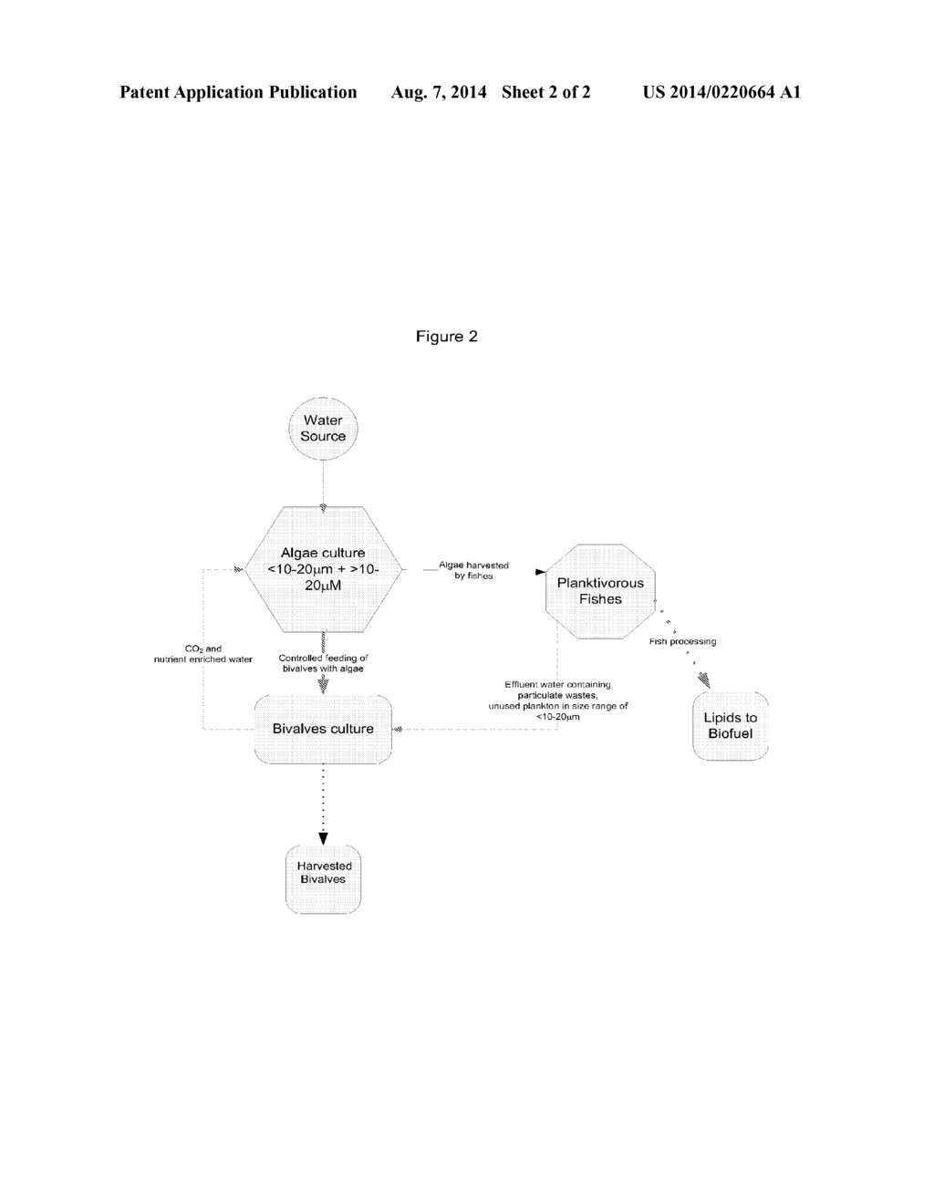 Systems and Methods for Culturing Algae With Bivalves - diagram, schematic, and image 03