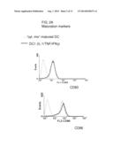 PLATFORM OF DENDRITIC CELL (DC)-BASED VACCINATION diagram and image