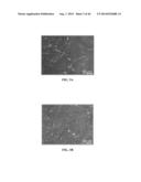 XENO-FREE AND A FEEDER FREE SELF-RENEWAL EXTRACELLULAR MATRIX FOR     LONG-TERM MAINTENANCE OF UNDIFFERENTIATED HUMAN PLURIPOTENT STEM CELLS     AND METHOD OF SYNTHESIZING THE SAME diagram and image